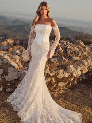 Romantic lace fitted dress featuring a corset bodice.